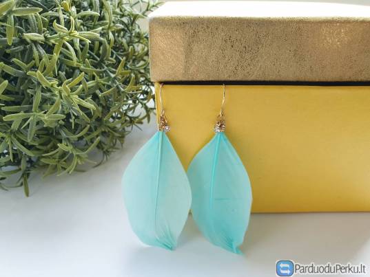 Įvairūs moteriški papuošalai