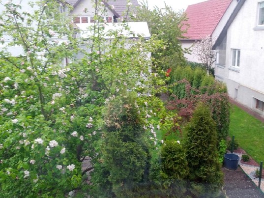 JAUKUS STUDIO BUTAS NUOMAI  SU BALKONU, VISI KOMUNALINIAI ISKAICIUOTI