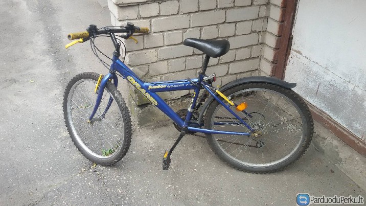 jaunuolio dviratis