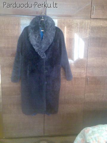 Mot. Avikailio kailiniai