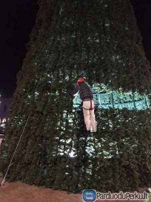 Kalėdinių dekoracijų kabinimas aukštyje, eglučių puošimas