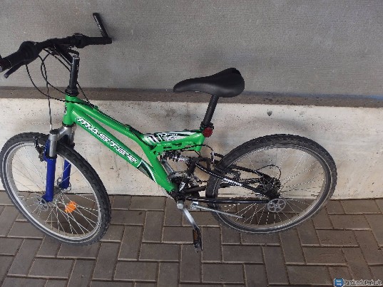 Kalnų dviratis Master Platinum F3