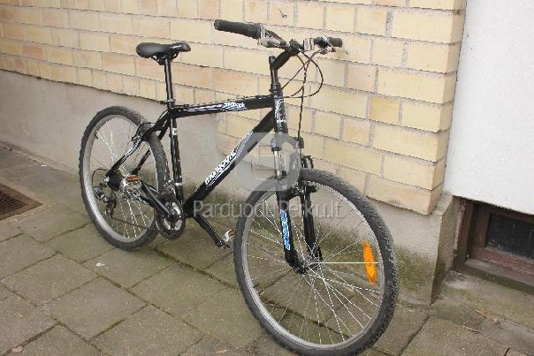 Kalnu dviratis MONGOOSE