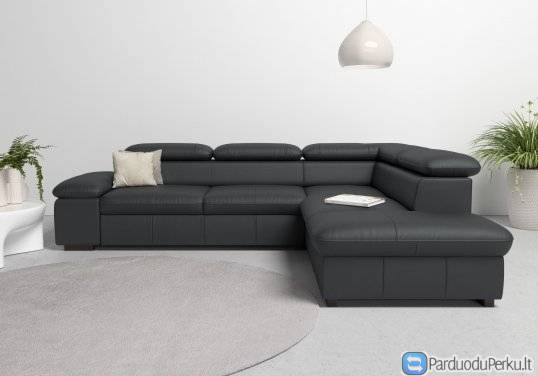 Kampas "ALBERTO"vokiškas natūrali oda www.bramita.lt