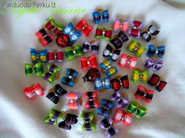 Kaspineliai , bantukai suniukams