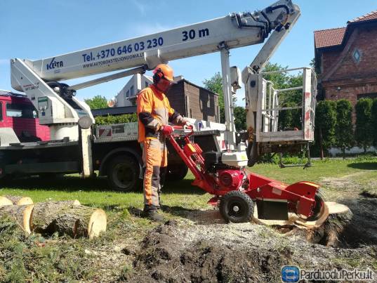 KELMŲ FREZAVIMAS, NAIKINIMAS, KELMŲ ŠALINIMAS, KAUNAS