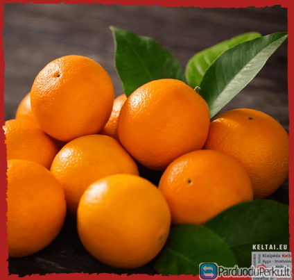 Keltai LIETUVA - ŠVEDIJA ir ne tik