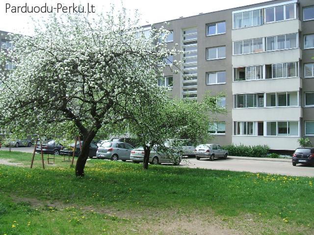 Keturių kambarių butas Antakalnyje renovuotame name