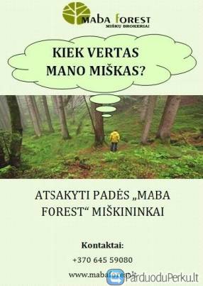 KIEK VERTAS MANO MIŠKAS?