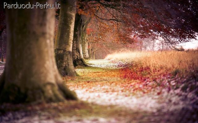 Klaipedos m. "Naujame Name" 2kamb.butas