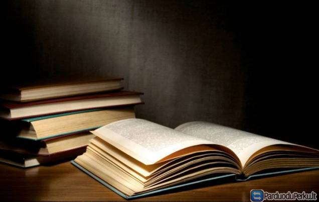 Kokybi6ka pagalba studentams