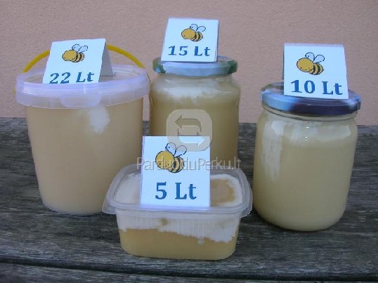 KOKYBIŠKAS MEDUS VILNIUJE