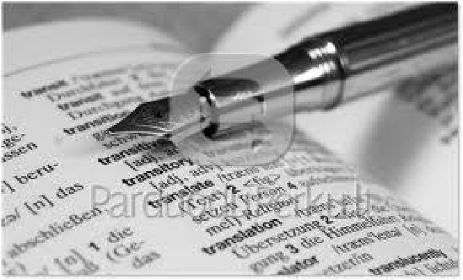 KOKYBISKOS VERTIMO PASLAUGOS PRIEINAMOMIS KAINOMIS