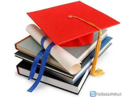 Konsultalcijos dėl magistrinio, kursinio rašymo