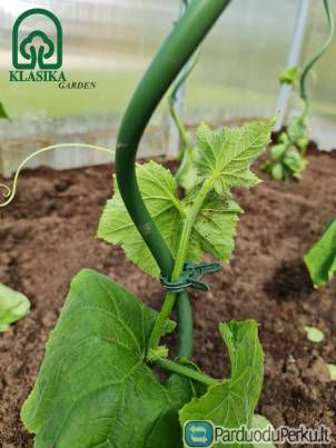 Kuoliukai augalams spiraliniai ir tiesūs