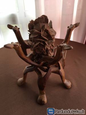 Kupranugariu ir dykumu rozes kompozicija