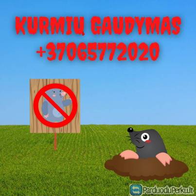 Kurmių gaudymas-naikinimas