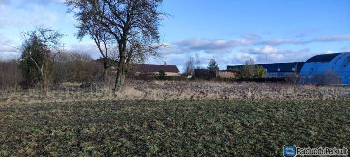 LABAI GERAS IR PATOGUS PRIVAŽIAVIMAS, ELEKTRA atvesta