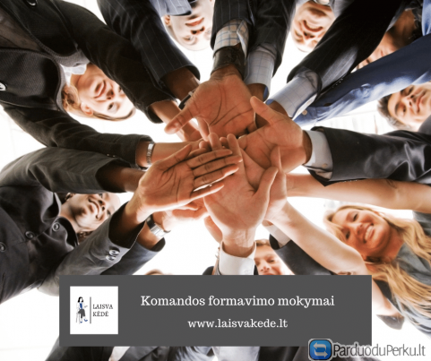 LaisvaKėdė. Komandos formavimo mokymai