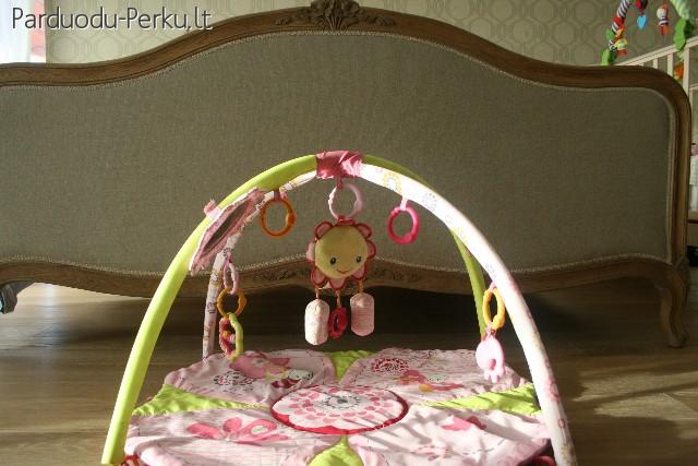 Lavinimo kilimelis Rozinis