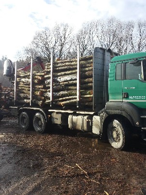 Malkos rąstais Vilnius 865522122