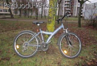 MAXIM-TRENDY DVIRATIS 250LT