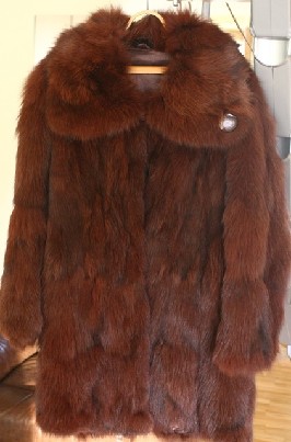 Mazai deveti silti lapes kailiniai