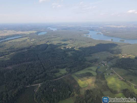 MEDINIS NAMAS ASVEJOS REGIONINIAME PARKE, ŠVENČIONIŲ RAJ., PABRADĖS SEN., PURVINIŠKIŲ K., BALUOŠO G.