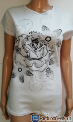 MEDVILNINĖ PALAIDINĖ