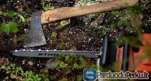 Medžių pjovimo darbai