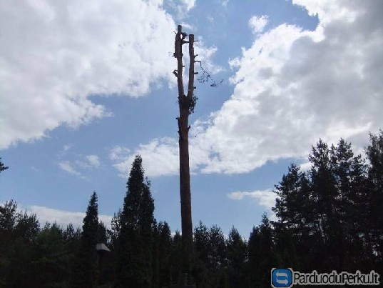 Medziu pjovimas pjovejai.lt