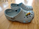 Melsvi Crocs