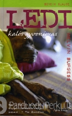 Melvin Burgess - Ledi kalės gyvenimas