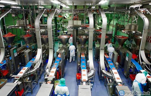 Mėsos fabrike Vokietijoje reikalingi darbuotojai 867674941