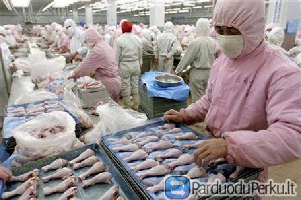 Mesos pakuotojai Vokietijoje- nemokamas apgyvendinimas