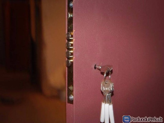 Metalinės durys rusio sandeliukui, vartai garažui