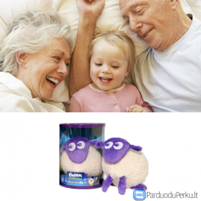 Migdukas Sapnų avinėlis Evanas