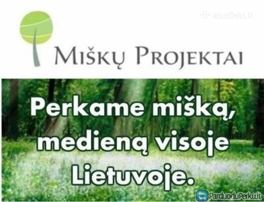 “Miškų projektai“ perka mišką gera kaina