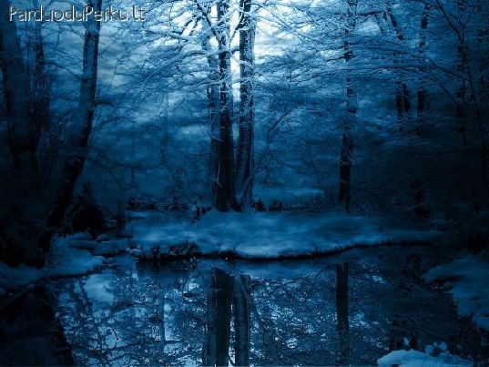 Miško ir kt. paskirties sklypas (5,14 ha) šalia Sudervės. Bu