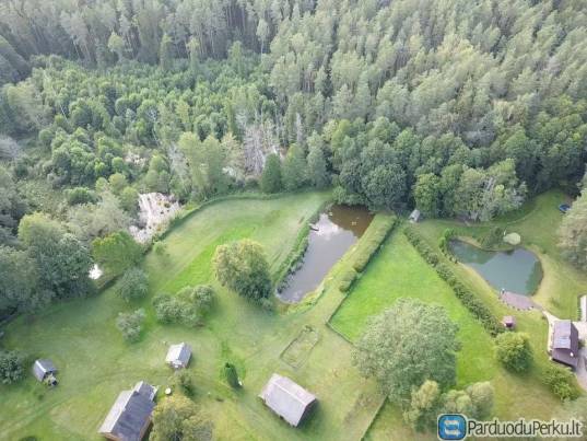 miško sklypas Kauno r. sav.