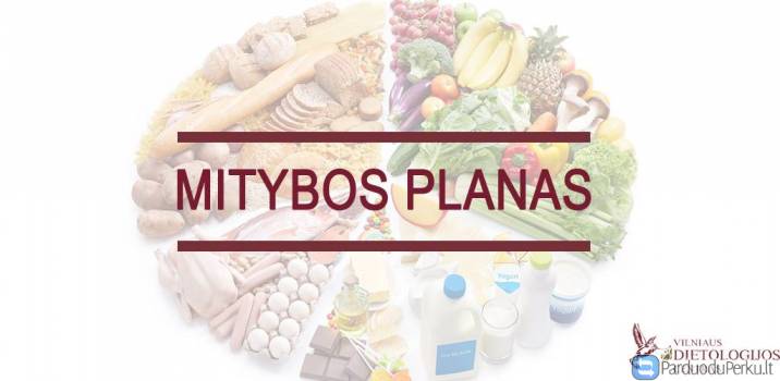 Mitybos programos sudarymas