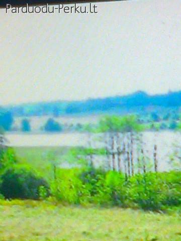 Molėtų rajone parduodamas 1,10 arų sklypas.