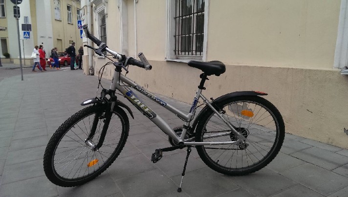 Moteriškas dviratis Minerva Taff