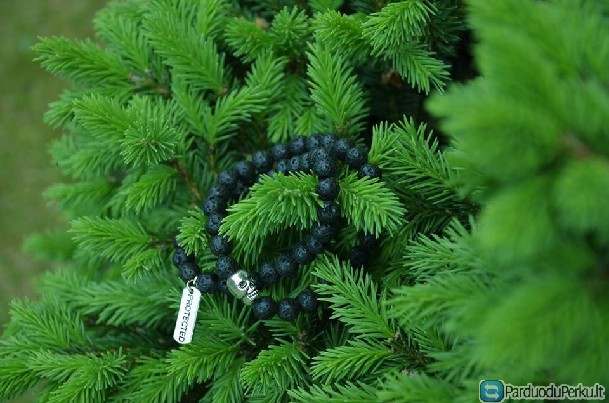 Moteriški ir vyriški papuošalai pigiau