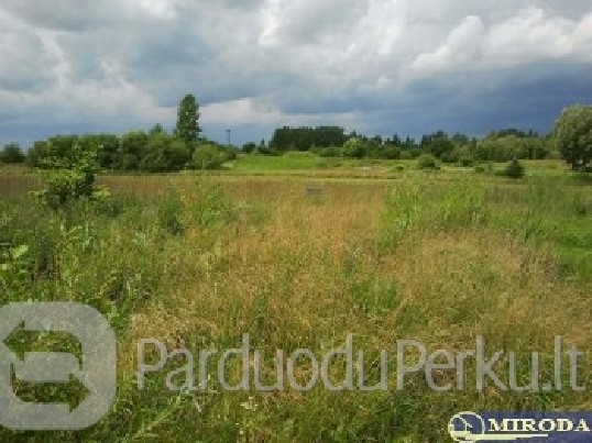 N.v. žemės sklypas Alytuje