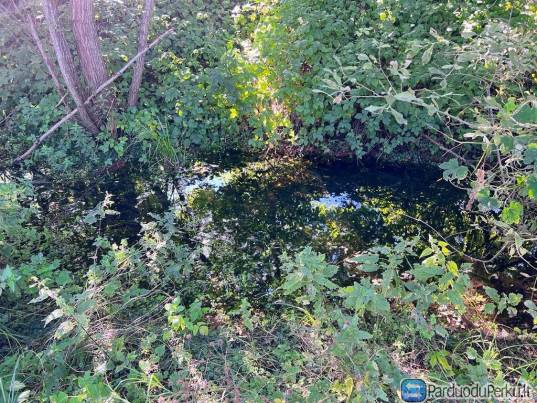 NAMAS PANEVĖŽIO RAJ., MIKĖNAI PRIE JUODŽIO EŽERO NR. 444