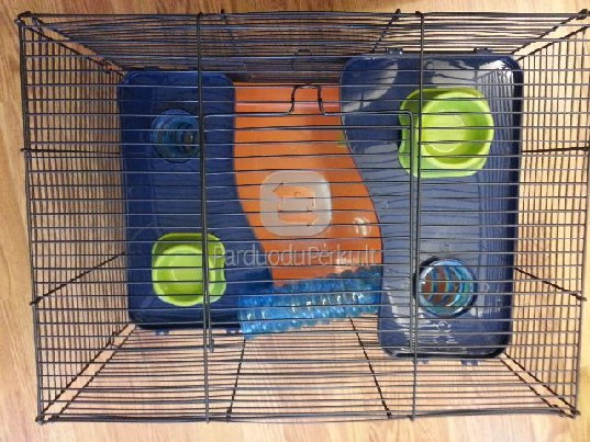 Narvelis žiurkėnui/pelytei