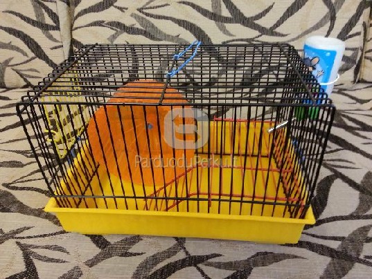 Narvelis žiurkėnui/pelytei