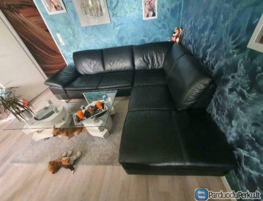 Naturalio odos kampas