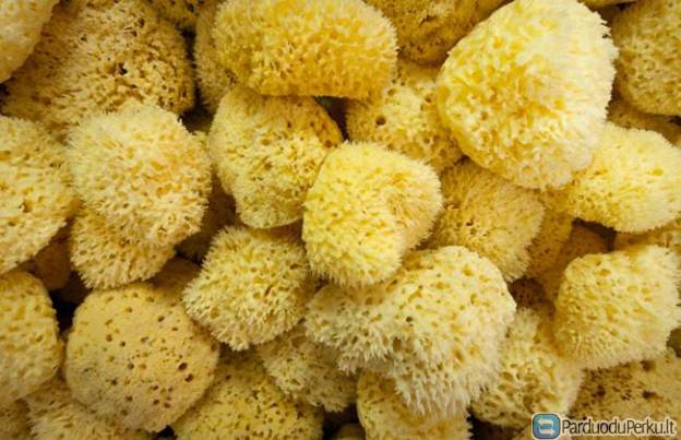 Natūralios Viduržemio jūros kempinės